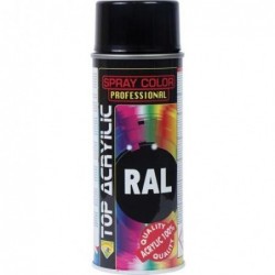 PINTURA SPRAY RAL 9005...