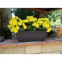 JARDINERA DE BALCON ELENIA...