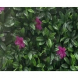 JARDIN VERTICAL MALVA 50X50...