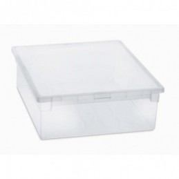 CAJA ORDENACION LIGHT BOX...