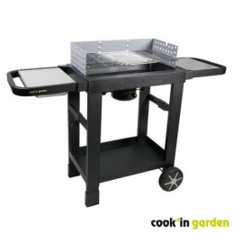 BARBACOA CARBON...