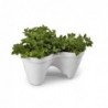 MACETA IVY - WHITE+GREEN -.STD 205565