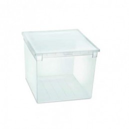 CAJA ORDENACION LIGHT BOX...